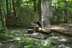 DSC_6919.JPG